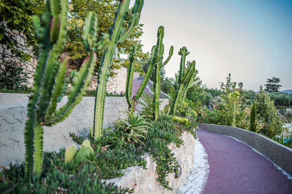 Hotel Rimondi Grand Resort i Crete, Greece - Billede 40