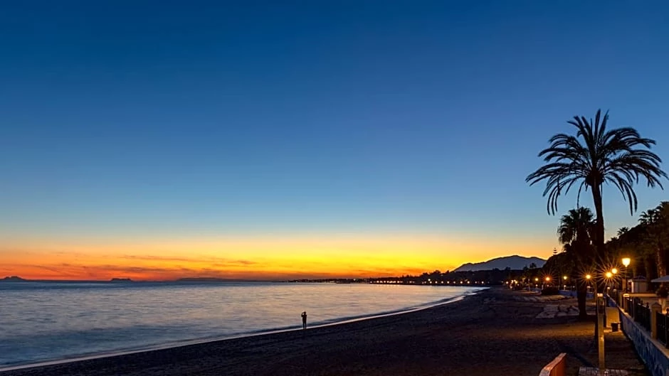 Hotel Senator Banus Hotel i Malaga, Spain - Billede 4