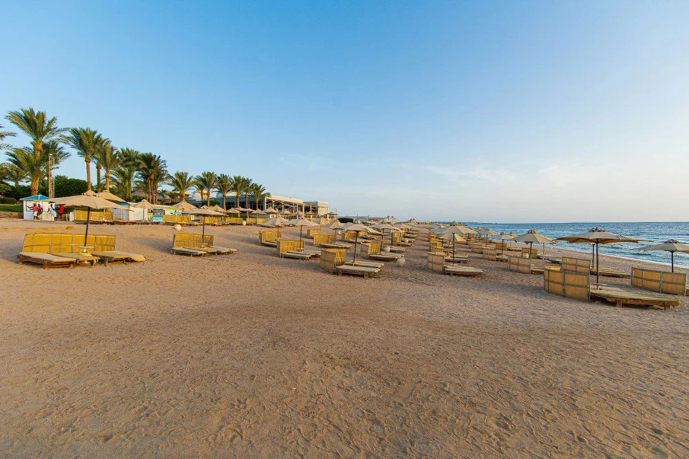 Hotel Serenity Alpha Beach i Hurghada, Egypt - Billede 14