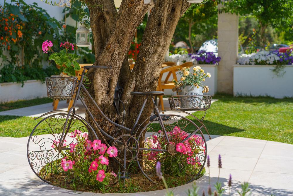 Hotel Sonio Beach Hotel i Crete, Greece - Billede 22