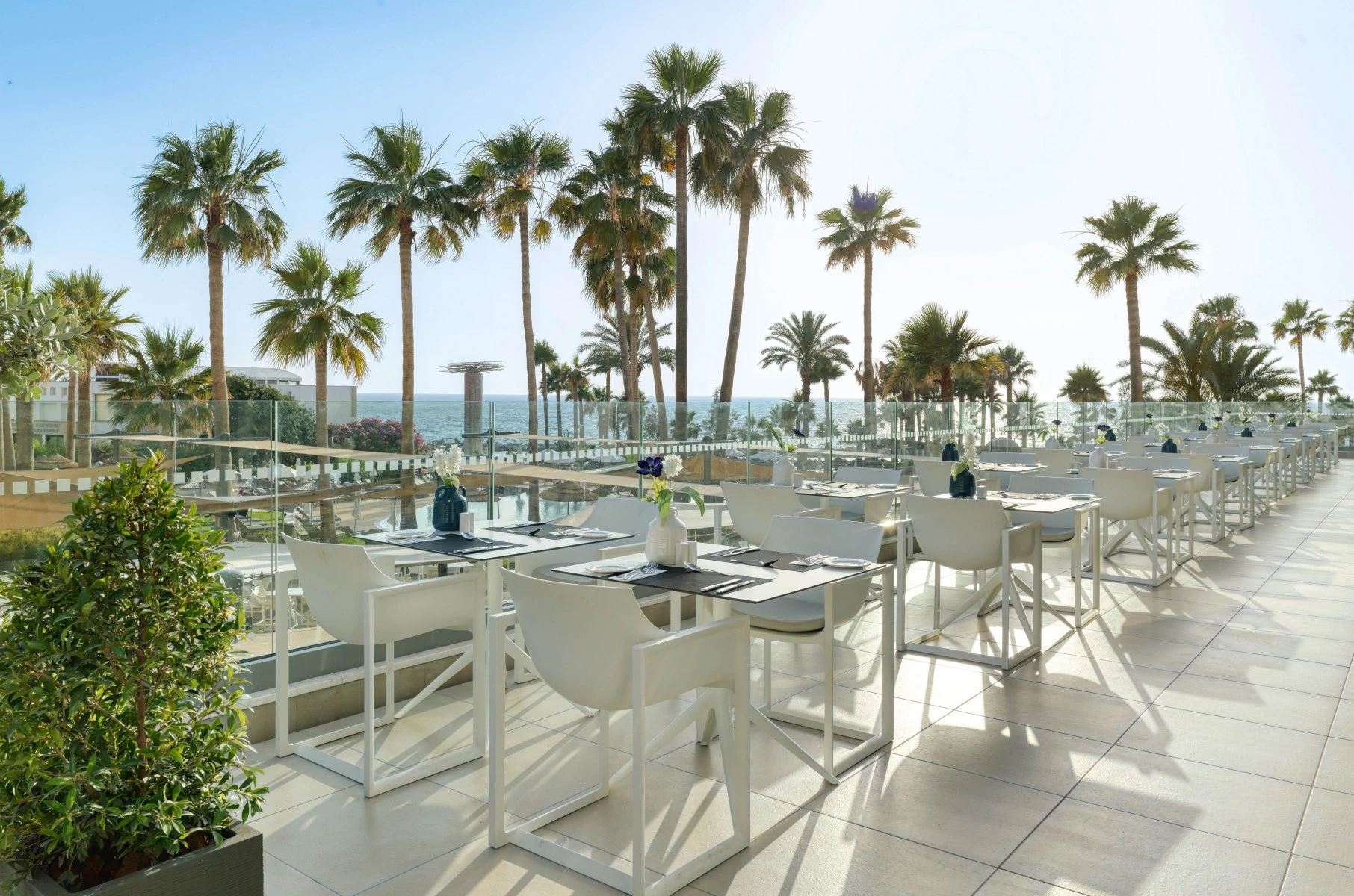 Hotel St. George Beach Hotel & Spa Resort i Cyprus, Cyprus - Billede 20