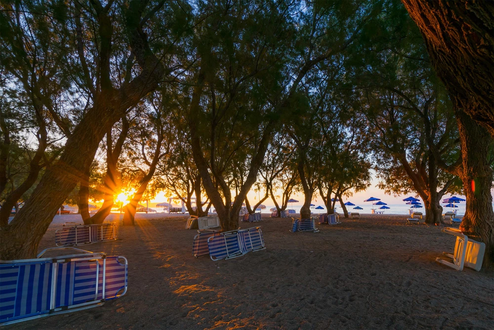 Hotel Stafilia Beach Hotel i Rhodes, Greece - Billede 14