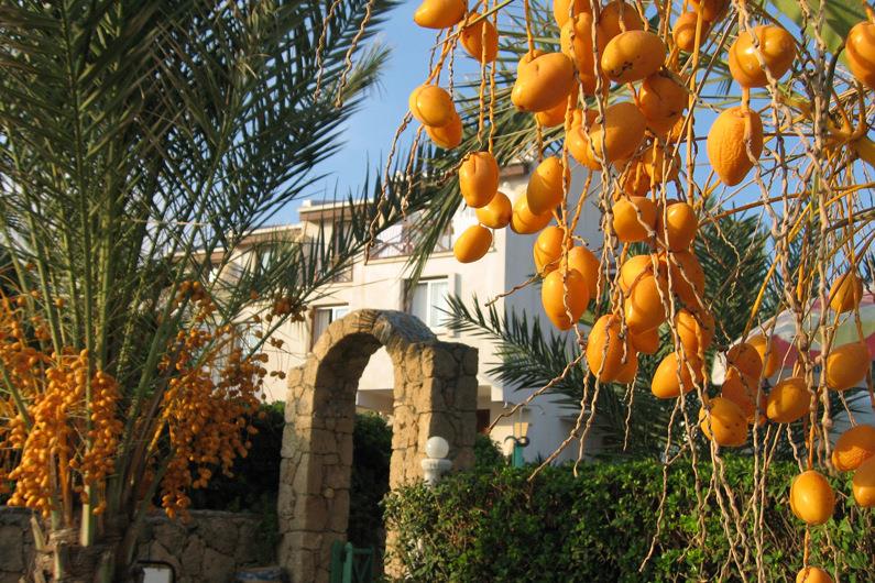 Hotel Topset Hotel i North Cyprus, Cyprus - Billede 3