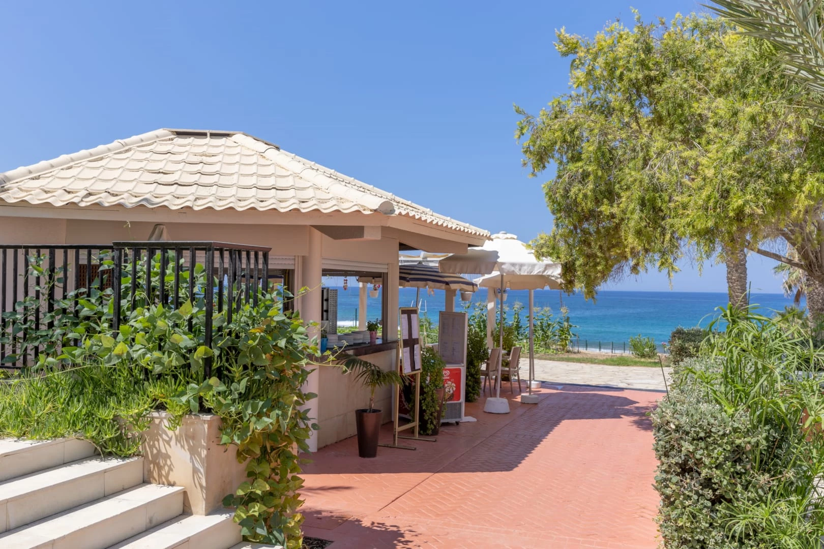 Hotel Venus Beach Hotel Paphos i Cyprus, Cyprus - Billede 16