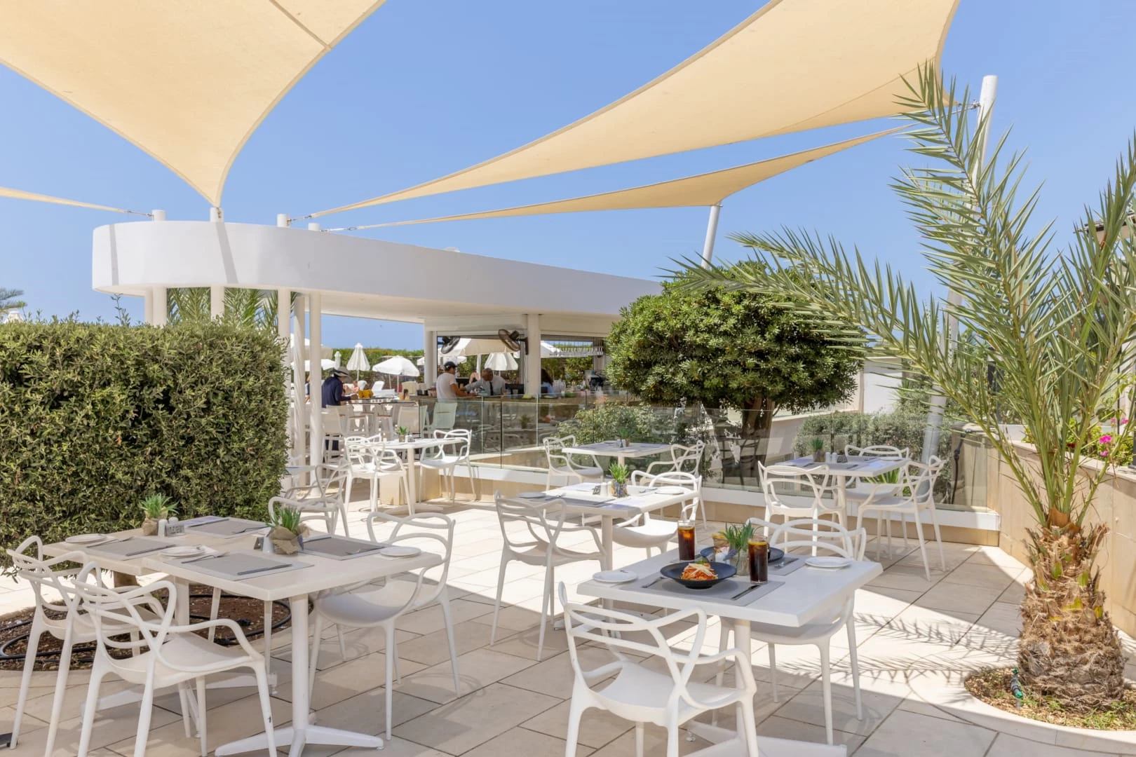 Hotel Venus Beach Hotel Paphos i Cyprus, Cyprus - Billede 14