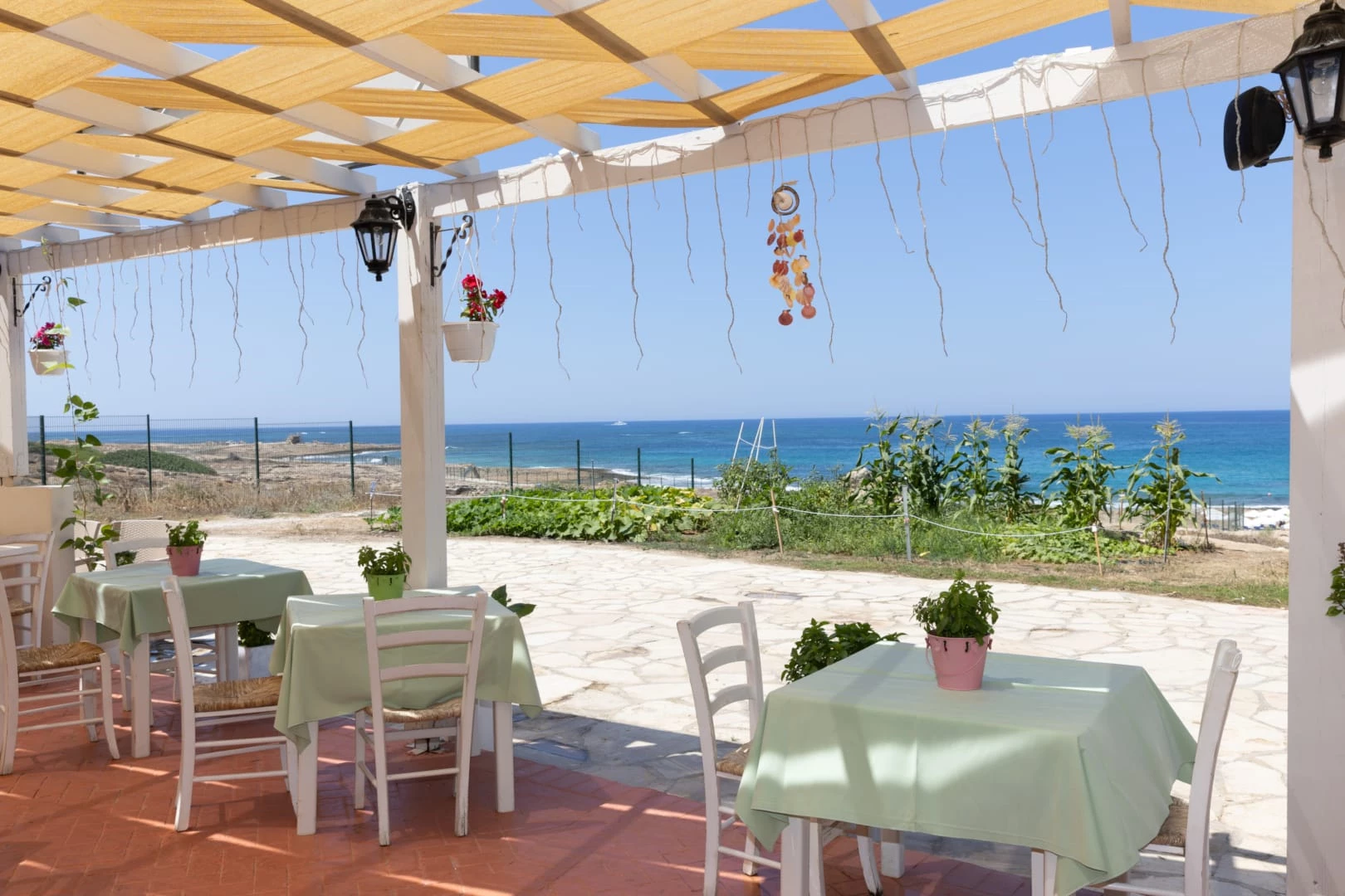Hotel Venus Beach Hotel Paphos i Cyprus, Cyprus - Billede 15