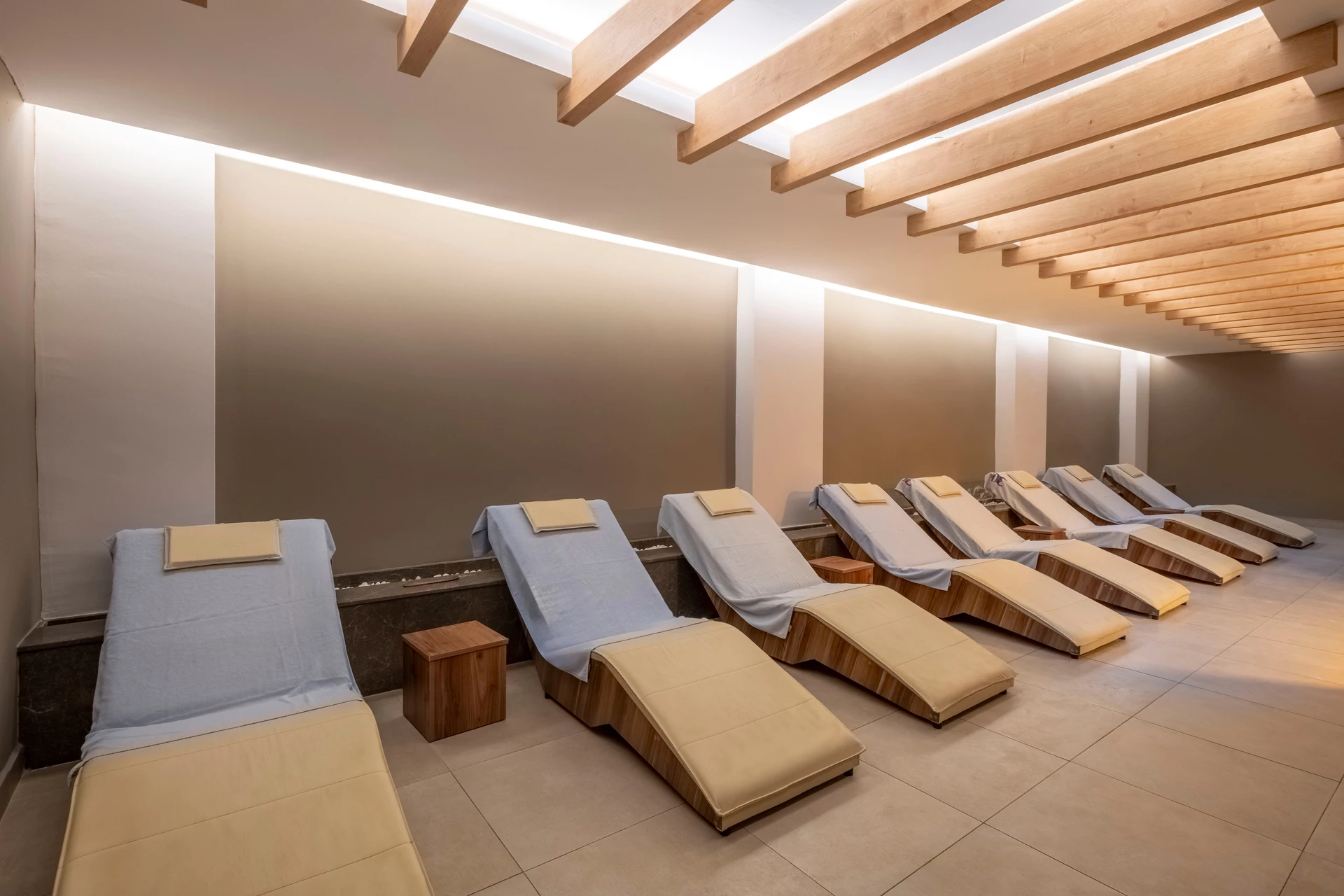 Hotel Viking Park Hotel & Spa i Antalya, Turkiet - Billede 13