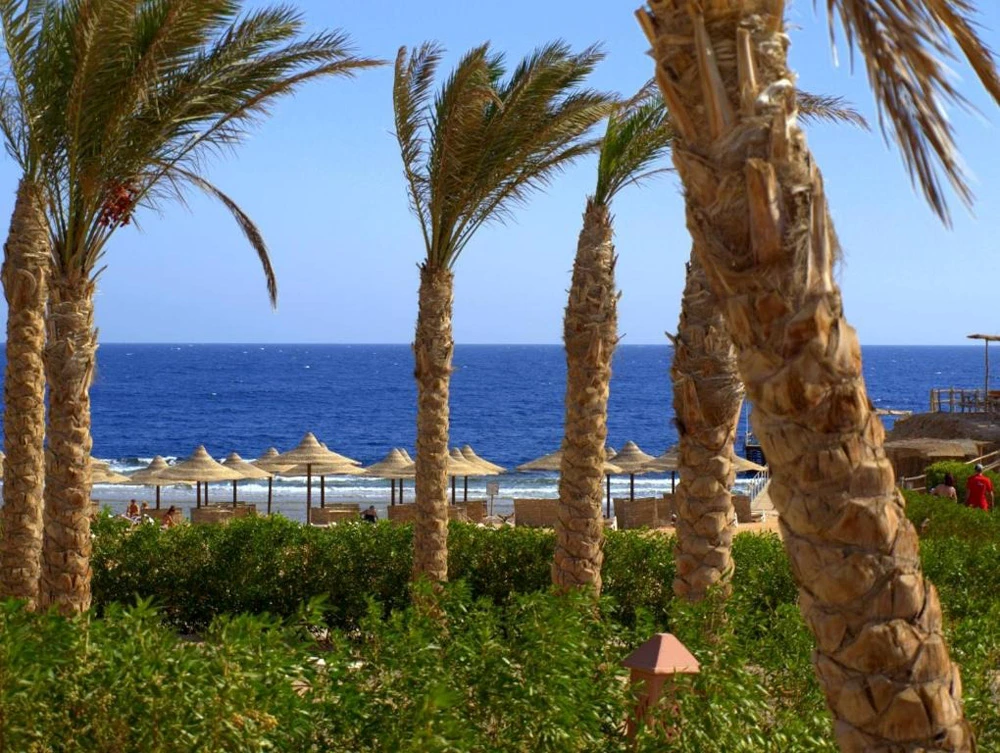 Hotel Viva Blue Resort & Diving Sports i Hurghada, Egypt - Billede 7